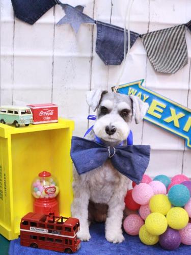 20230411むぎちゃん